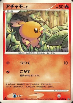 Torchic 1St Edition