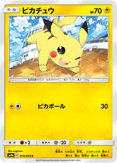 Pikachu 14