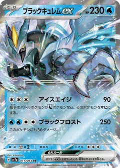 Black Kyurem Ex 11