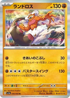 Landorus 30