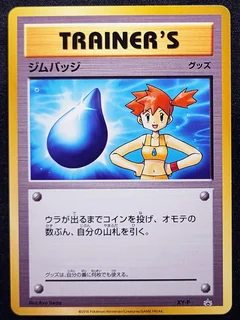 Misty Gym Badge Xy P