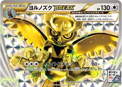 Noctowl Break 216Xy P