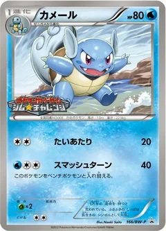 Wartortle 166Bw P