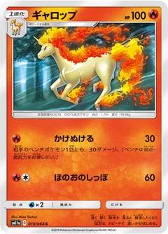 Rapidash 10
