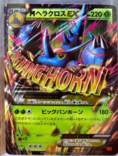 Mega Heracross Ex 1St Edition 5