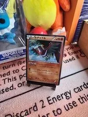 Watchog 1St Edition 80