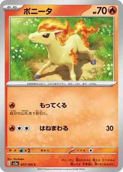 Ponyta 77