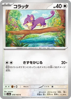 Rattata 19