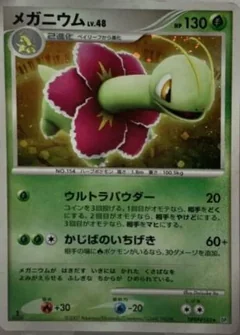 Meganium 1St Edition