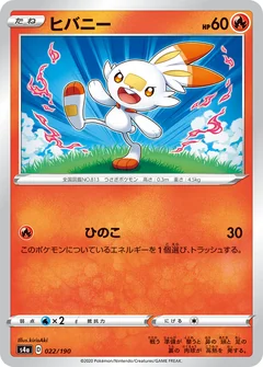Scorbunny 22