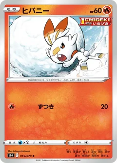 Scorbunny 15
