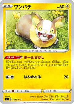Yamper 19