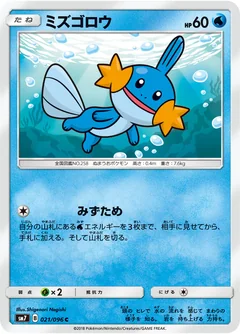 Mudkip 21