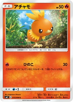 Torchic 15