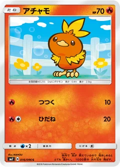 Torchic 16