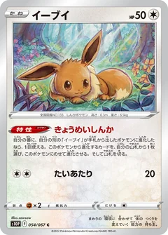 Eevee 54