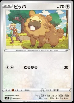 Bidoof 81