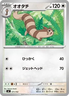 Furret 571
