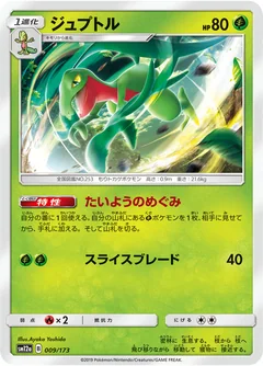 Grovyle 9