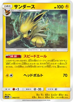 Jolteon 42