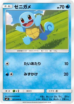 Squirtle 21