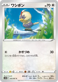 Rufflet 55