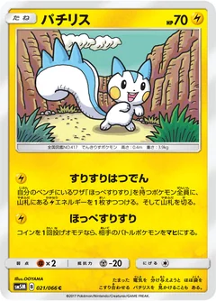 Pachirisu 21
