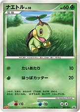 Turtwig 5