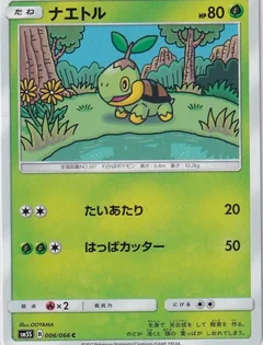 Turtwig 6