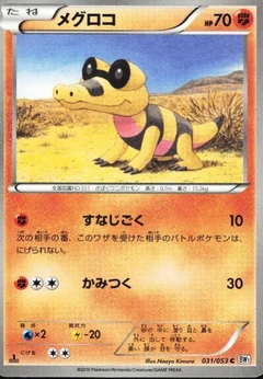 Sandile 1St Edition 31