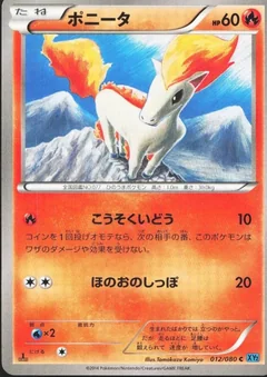 Ponyta 1St Edition 12