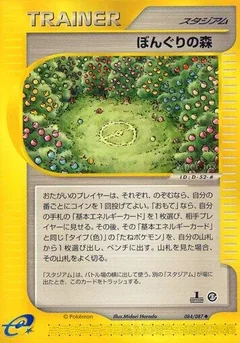 Apricorn Forest 1St Edition 84