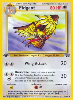 Pidgeot 24