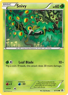 Snivy 6