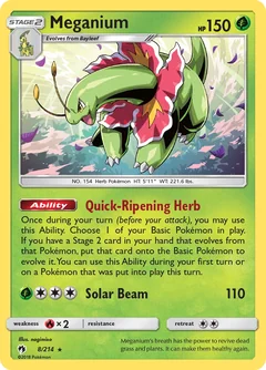 Meganium 8