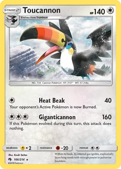 Toucannon 166