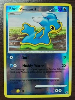 Shellos East Sea Reverse Holo 73