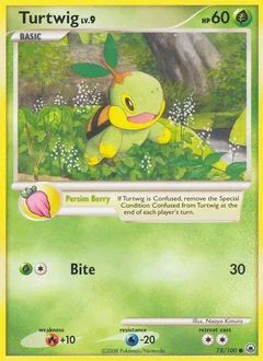 Turtwig 78