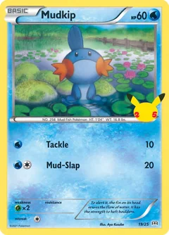 Mudkip Holo 19