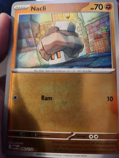 Nacli Reverse Holo 82