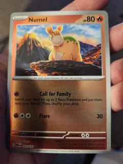 Numel Reverse Holo 21