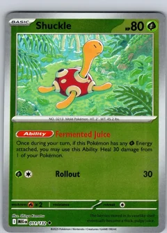 Shuckle Reverse Holo 11