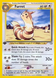 Furret 35