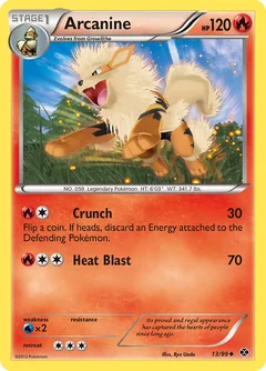 Arcanine 13