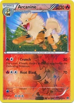 Arcanine Reverse Holo 13
