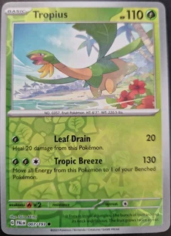 Tropius Reverse Holo 7