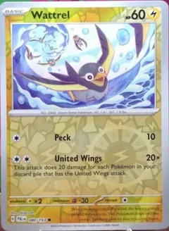 Wattrel Reverse Holo 80