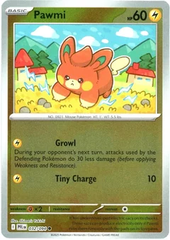 Pawmi Reverse Holo 32