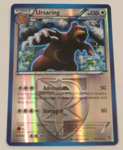 Ursaring Reverse Holo 76