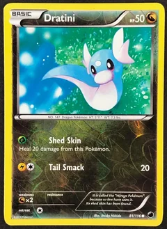 Dratini Reverse Holo 81
